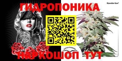 хмурый Славгород