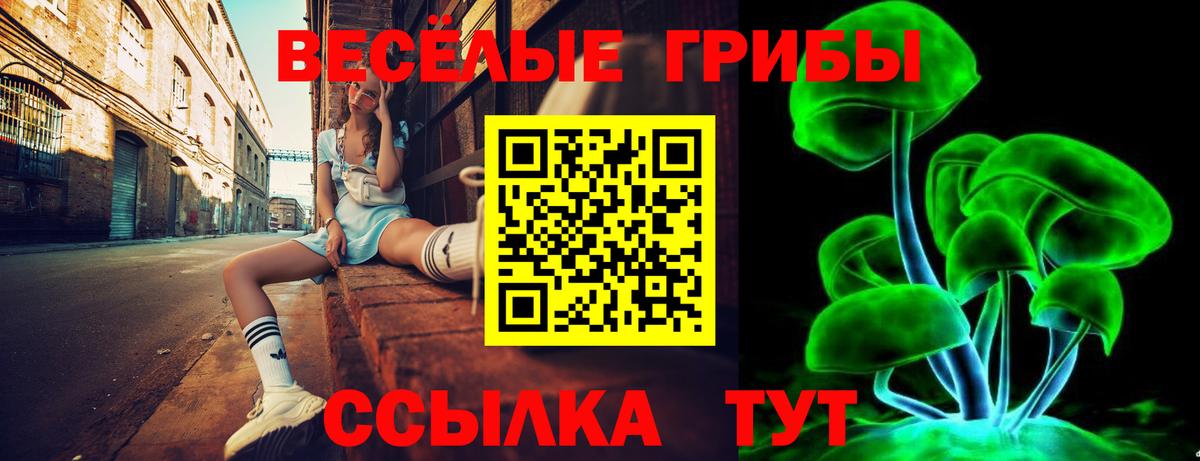 Рубцовск  Галлюциногенные грибы MAGIC MUSHROOMS  Вход с VPN 